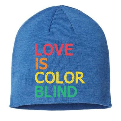 Love Is Color Blind Lgbtq Hu Rights Pride Freedom Gift Sustainable Beanie