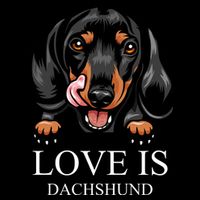 Love Is Dachshund 16 in Basic Backpack