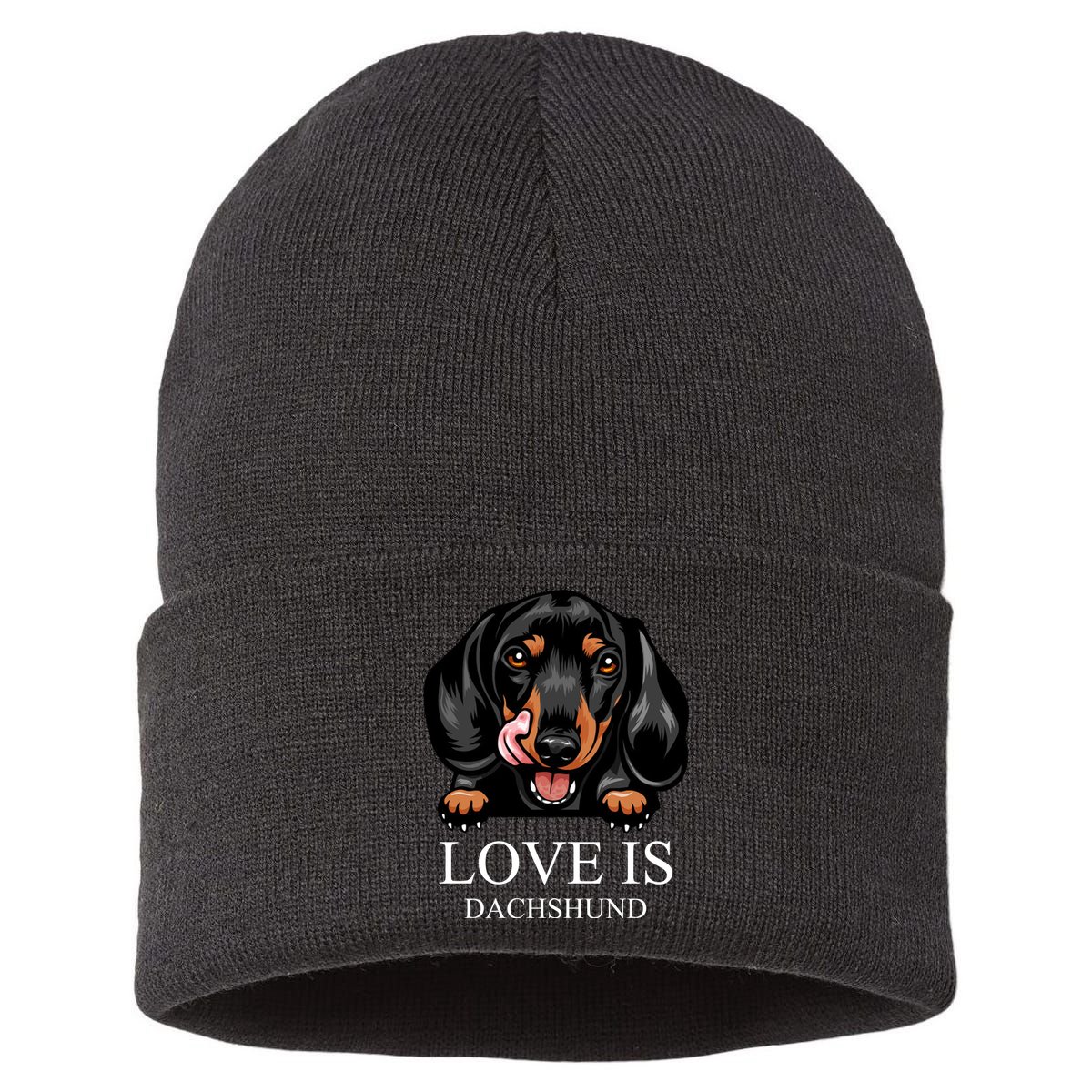 Love Is Dachshund Sustainable Knit Beanie