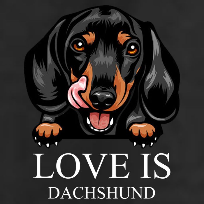 Love Is Dachshund 25L Jumbo Tote