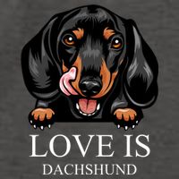 Love Is Dachshund Vector Backpack