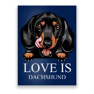 Love Is Dachshund Poster