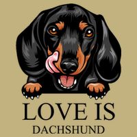 Love Is Dachshund Cooling Performance Crew T-Shirt