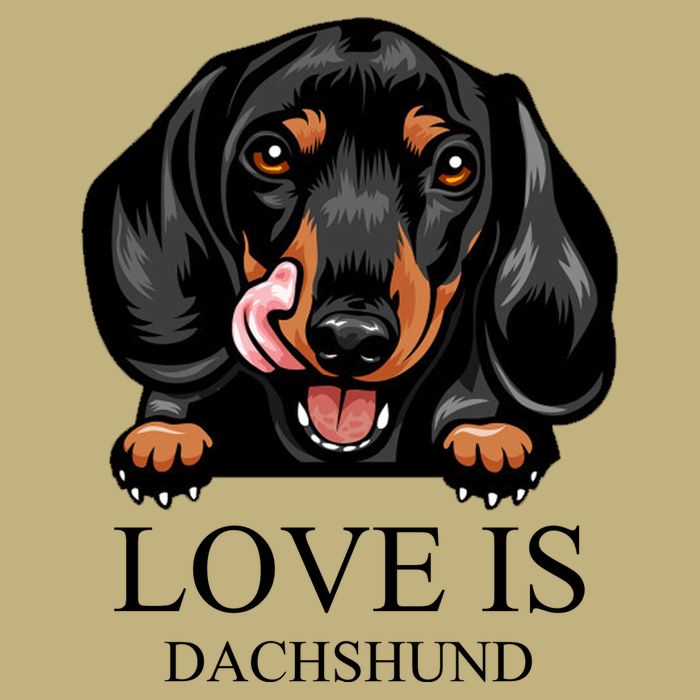 Love Is Dachshund Cooling Performance Crew T-Shirt