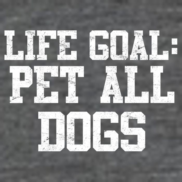 Life Goal Pet All Dogs Women's V-Neck T-Shirt