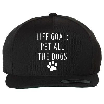 Life Goal Pet All Dogs Funny Wool Snapback Cap