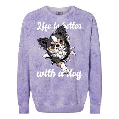 Life Is Better With A Dog Cute Colorblast Crewneck Sweatshirt