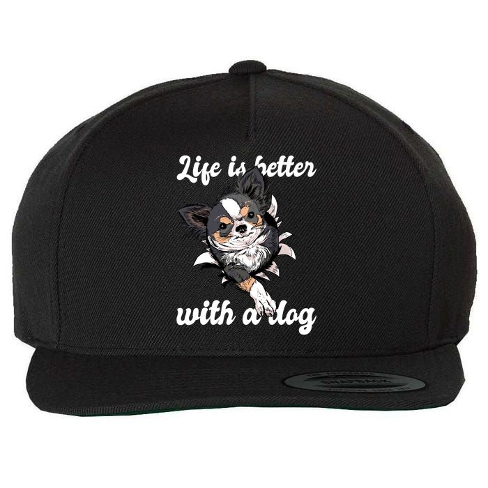Life Is Better With A Dog Cute Wool Snapback Cap