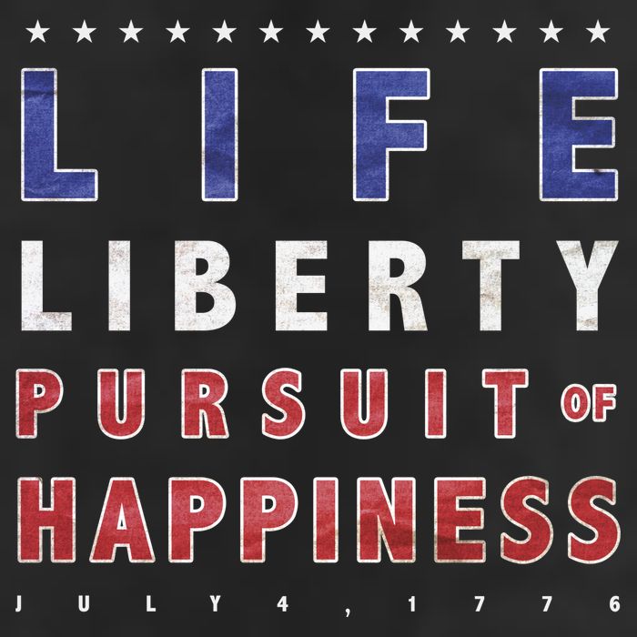 Life Liberty Pursuit Of Happiness 7 Panel Mesh Trucker Snapback Hat