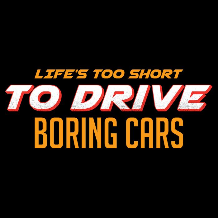 Life's too Short Too Drive Boring Cars USA-Made Doggie Bandana