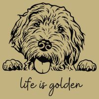 Life Is Golden Dog Mom Goldendoodle Mama Mothers Day Gift Hoodie