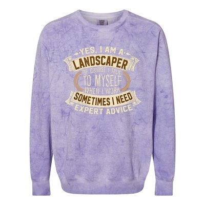 Landscaping I Gift I Outdoor I Funny Landscaper Colorblast Crewneck Sweatshirt