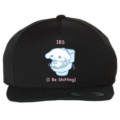 Limited Ibs I Be Shitting Wool Snapback Cap