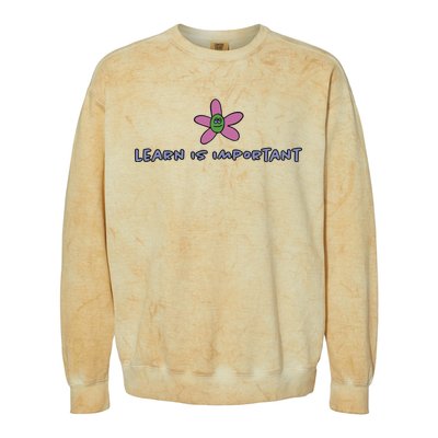 Learn Is Important Colorblast Crewneck Sweatshirt