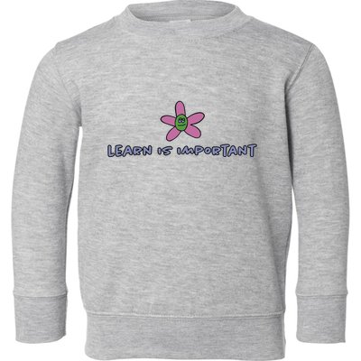 Learn Is Important Toddler Sweatshirt
