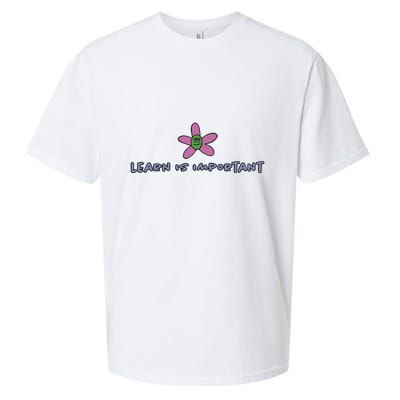 Learn Is Important Sueded Cloud Jersey T-Shirt