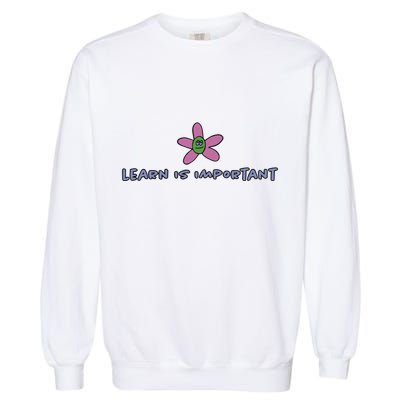 Learn Is Important Garment-Dyed Sweatshirt