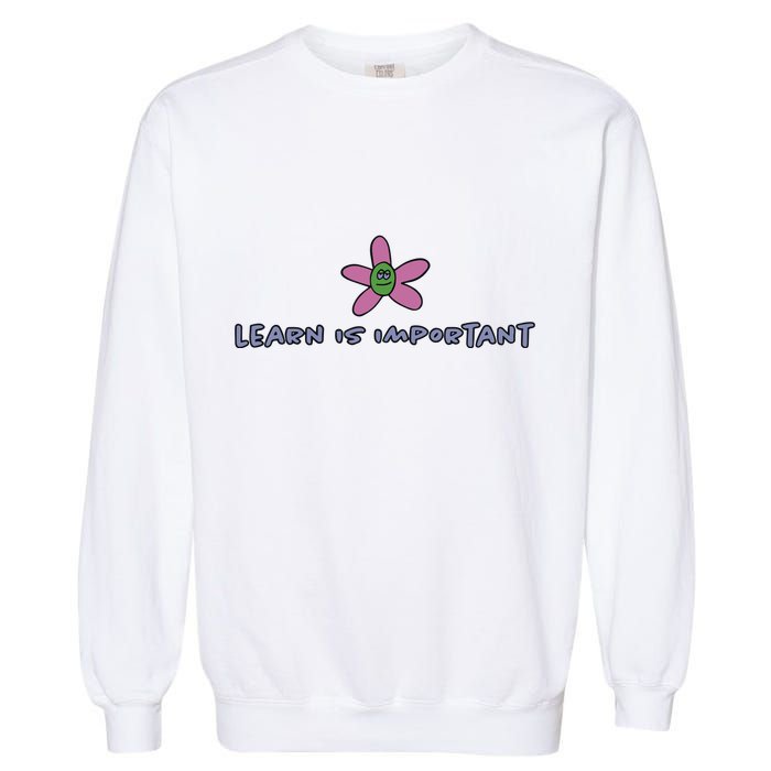 Learn Is Important Garment-Dyed Sweatshirt