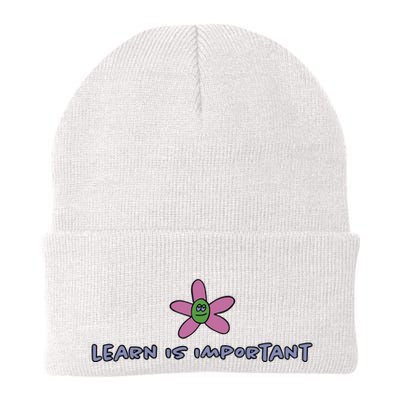 Learn Is Important Beanie