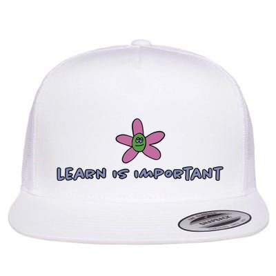 Learn Is Important Flat Bill Trucker Hat