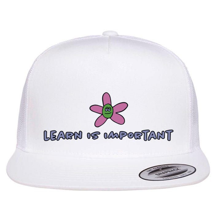Learn Is Important Flatbill Hat
