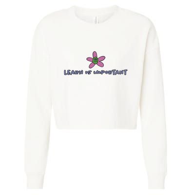 Learn Is Important Cropped Pullover Crew