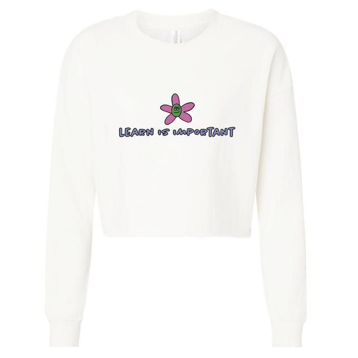 Learn Is Important Cropped Pullover Crew