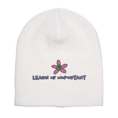 Learn Is Important Short Acrylic Beanie