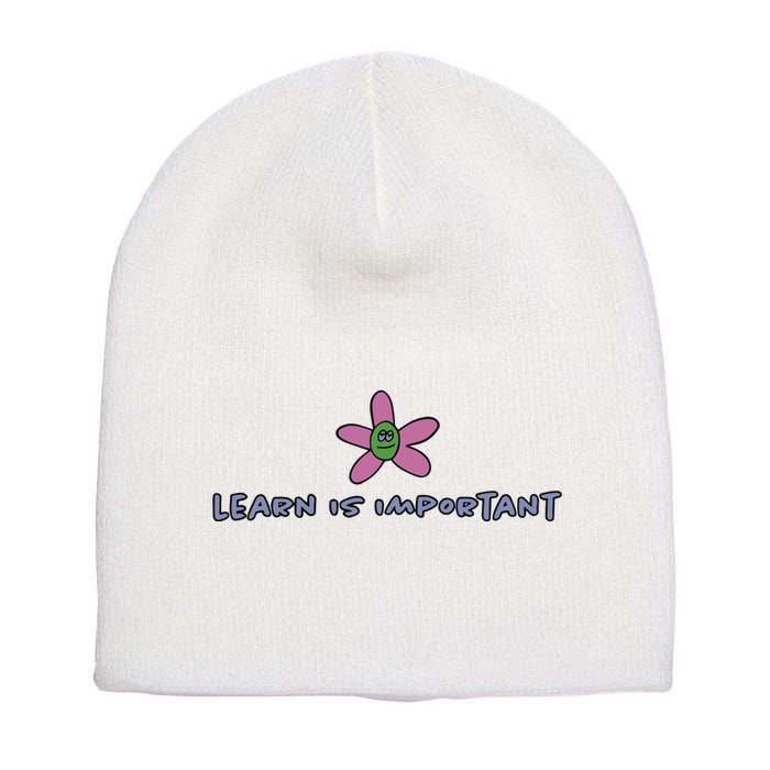 Learn Is Important Short Acrylic Beanie
