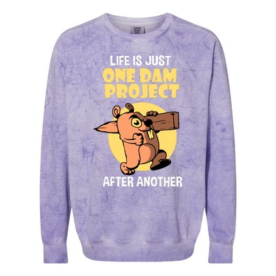 Life Is Just One Dam Project After Another Colorblast Crewneck Sweatshirt