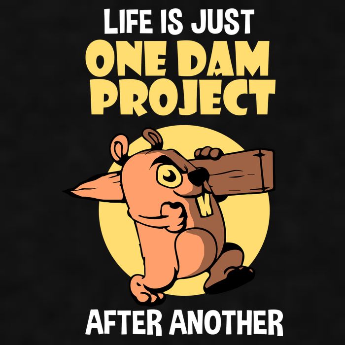 Life Is Just One Dam Project After Another Ladies PosiCharge Tri-Blend Wicking Tank
