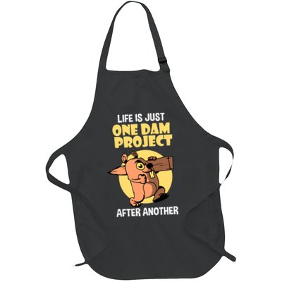 Life Is Just One Dam Project After Another Apron