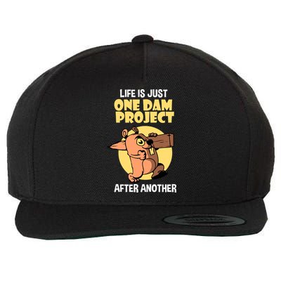 Life Is Just One Dam Project After Another Wool Snapback Cap