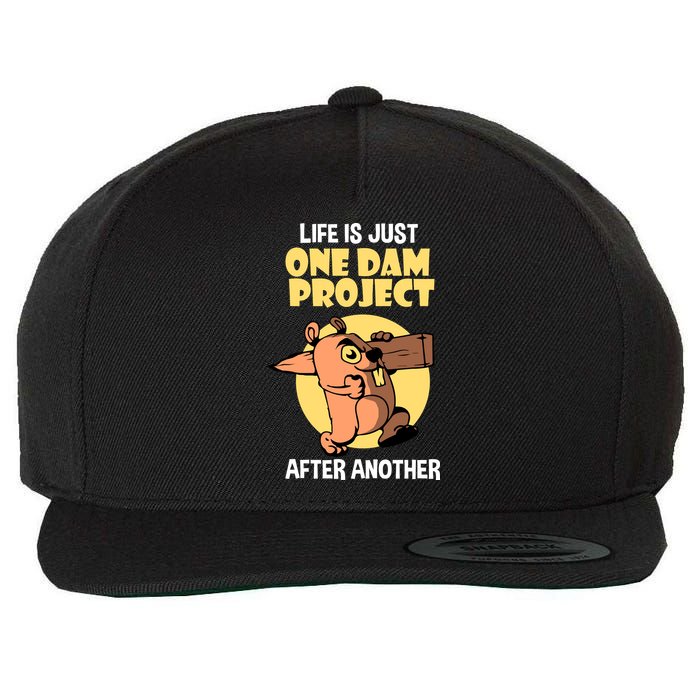 Life Is Just One Dam Project After Another Wool Snapback Cap