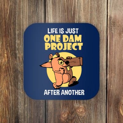 Life Is Just One Dam Project After Another Coaster