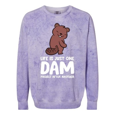 Life Is Just One Dam Project After Another Funny Beaver Dam Colorblast Crewneck Sweatshirt