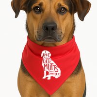 Like Big Mutts and I Cannot Lie USA-Made Doggie Bandana