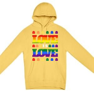 Love Is Love Cute Ghost Lgbt Equality Halloween Lgbt Pride Gift Premium Pullover Hoodie