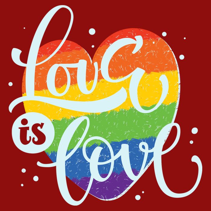 Love Is Love LGBT Pride Premium T-Shirt