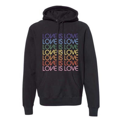 Love Is Love Pride Premium Hoodie