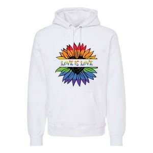 Love Is Love Rainbow Pride Graphic Premium Hoodie