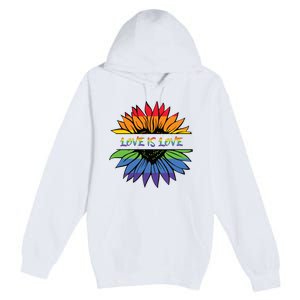 Love Is Love Rainbow Pride Graphic Premium Pullover Hoodie