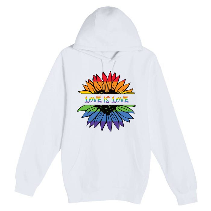 Love Is Love Rainbow Pride Graphic Premium Pullover Hoodie