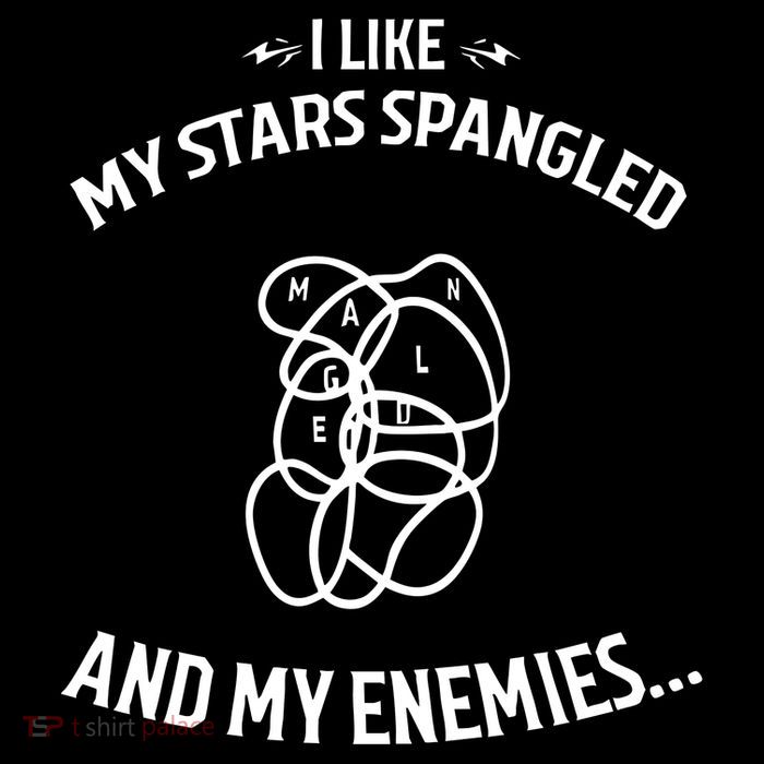 Limited I Like My Stars Spangled And My Enemies Flat Bill Trucker Hat