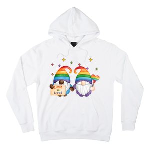 Love Is Love Rainbow Gnome Hoodie