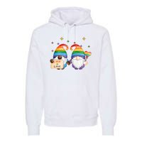 Love Is Love Rainbow Gnome Premium Hoodie