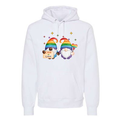 Love Is Love Rainbow Gnome Premium Hoodie