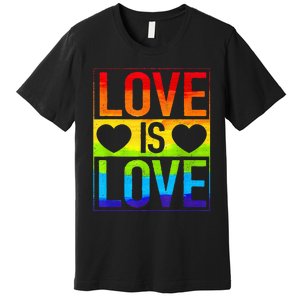 Love Is Love Lgbt Gay Lesbian Rainbow Premium T-Shirt