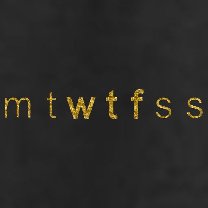 Limited Edition mtWTFss Days of the Week WTF Gold Print 7 Panel Mesh Trucker Snapback Hat