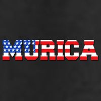Limited Edition Murica Fourth of July USA Flag Adult Drive Performance Visor